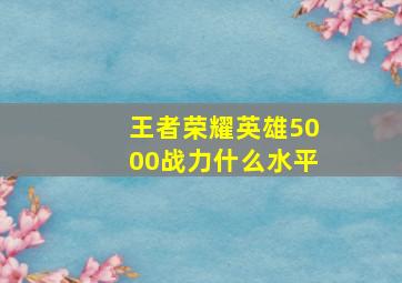 王者荣耀英雄5000战力什么水平