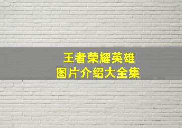 王者荣耀英雄图片介绍大全集