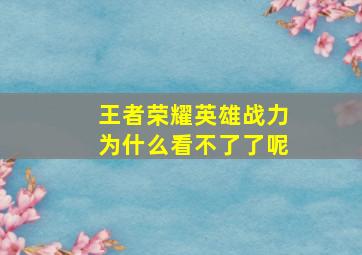 王者荣耀英雄战力为什么看不了了呢