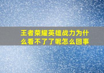 王者荣耀英雄战力为什么看不了了呢怎么回事