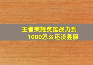 王者荣耀英雄战力到1000怎么还没县服