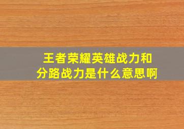 王者荣耀英雄战力和分路战力是什么意思啊