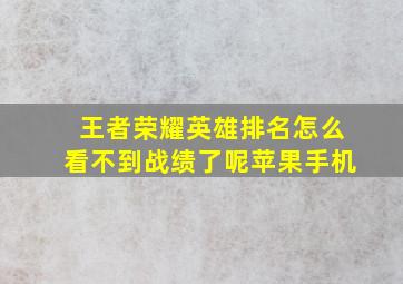 王者荣耀英雄排名怎么看不到战绩了呢苹果手机