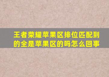 王者荣耀苹果区排位匹配到的全是苹果区的吗怎么回事