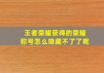 王者荣耀获得的荣耀称号怎么隐藏不了了呢