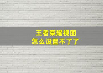 王者荣耀视图怎么设置不了了