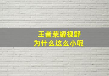 王者荣耀视野为什么这么小呢