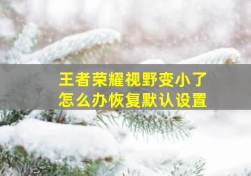 王者荣耀视野变小了怎么办恢复默认设置