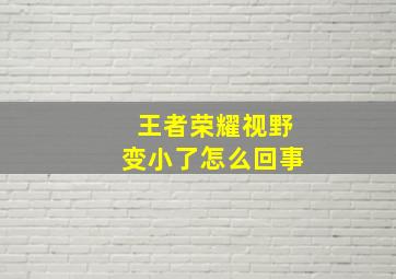 王者荣耀视野变小了怎么回事