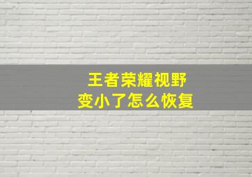 王者荣耀视野变小了怎么恢复