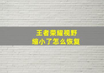 王者荣耀视野缩小了怎么恢复