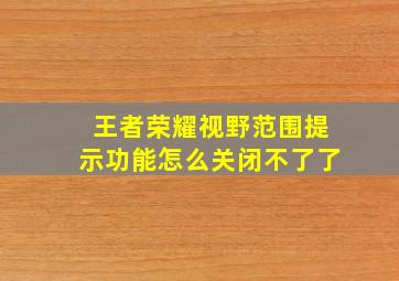 王者荣耀视野范围提示功能怎么关闭不了了