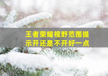 王者荣耀视野范围提示开还是不开好一点