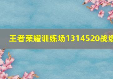 王者荣耀训练场1314520战绩