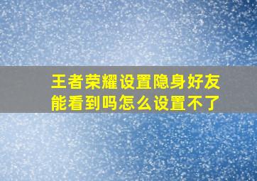 王者荣耀设置隐身好友能看到吗怎么设置不了