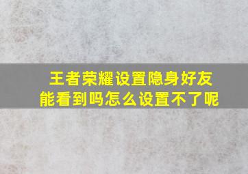 王者荣耀设置隐身好友能看到吗怎么设置不了呢