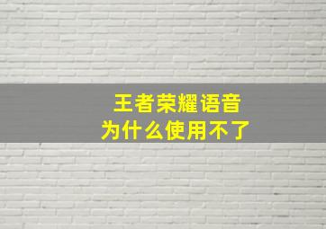 王者荣耀语音为什么使用不了