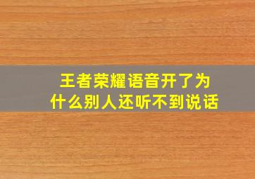 王者荣耀语音开了为什么别人还听不到说话