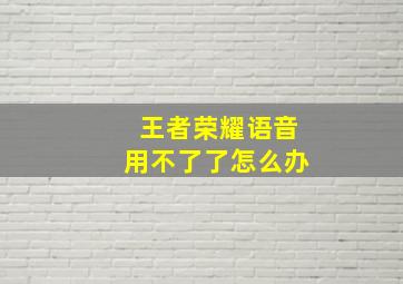 王者荣耀语音用不了了怎么办