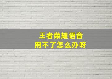 王者荣耀语音用不了怎么办呀