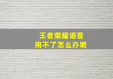 王者荣耀语音用不了怎么办呢