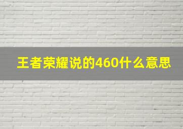 王者荣耀说的460什么意思