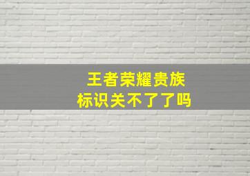 王者荣耀贵族标识关不了了吗