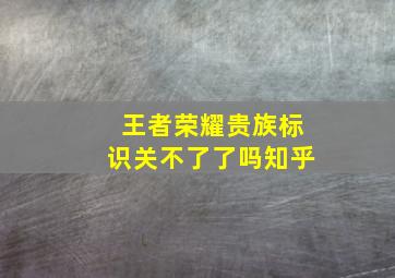 王者荣耀贵族标识关不了了吗知乎