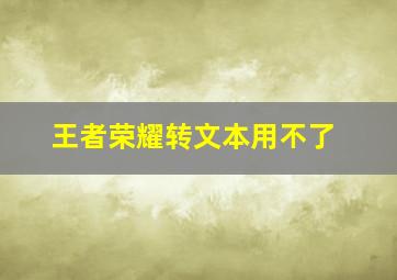 王者荣耀转文本用不了