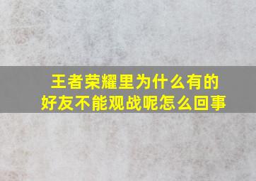 王者荣耀里为什么有的好友不能观战呢怎么回事