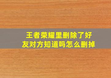 王者荣耀里删除了好友对方知道吗怎么删掉