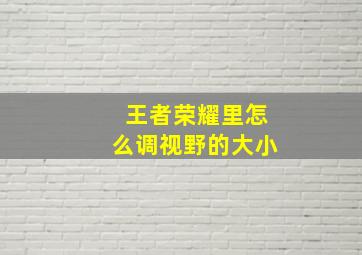 王者荣耀里怎么调视野的大小