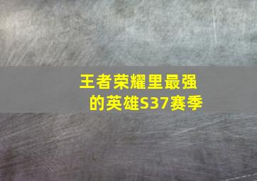 王者荣耀里最强的英雄S37赛季