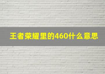 王者荣耀里的460什么意思