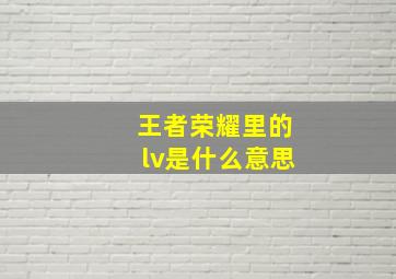 王者荣耀里的lv是什么意思