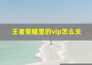 王者荣耀里的vip怎么关