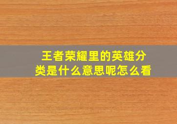 王者荣耀里的英雄分类是什么意思呢怎么看