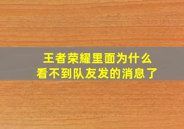 王者荣耀里面为什么看不到队友发的消息了