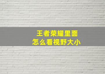 王者荣耀里面怎么看视野大小