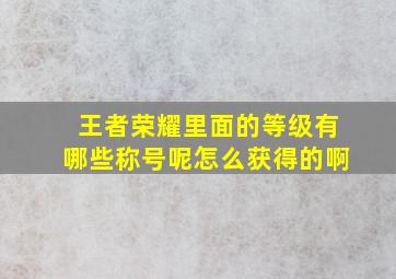 王者荣耀里面的等级有哪些称号呢怎么获得的啊