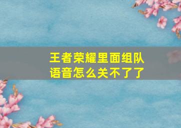 王者荣耀里面组队语音怎么关不了了