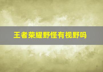 王者荣耀野怪有视野吗