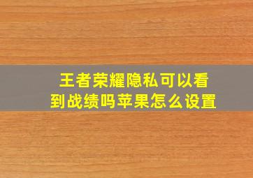 王者荣耀隐私可以看到战绩吗苹果怎么设置