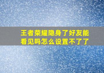 王者荣耀隐身了好友能看见吗怎么设置不了了