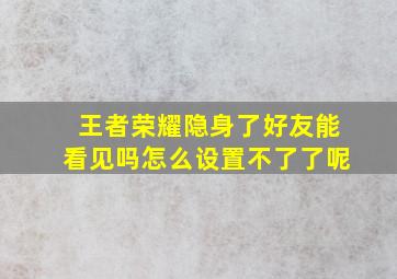 王者荣耀隐身了好友能看见吗怎么设置不了了呢