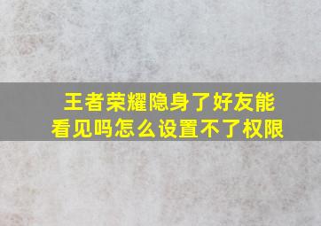 王者荣耀隐身了好友能看见吗怎么设置不了权限