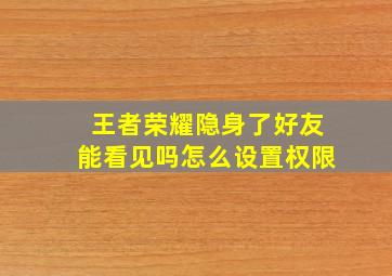 王者荣耀隐身了好友能看见吗怎么设置权限