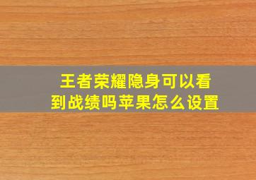 王者荣耀隐身可以看到战绩吗苹果怎么设置