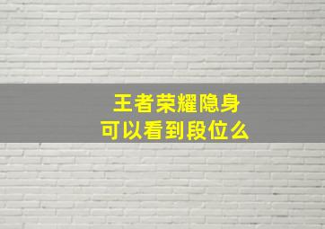 王者荣耀隐身可以看到段位么