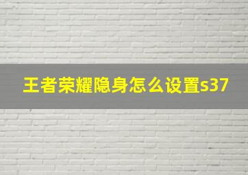 王者荣耀隐身怎么设置s37